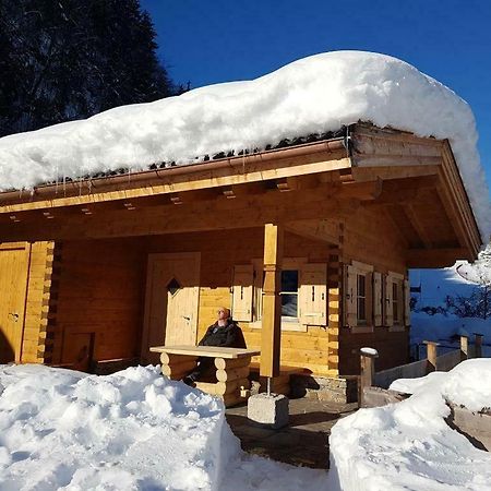 Chalet Sonnheim Лофер Екстер'єр фото