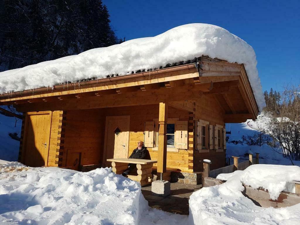 Chalet Sonnheim Лофер Екстер'єр фото